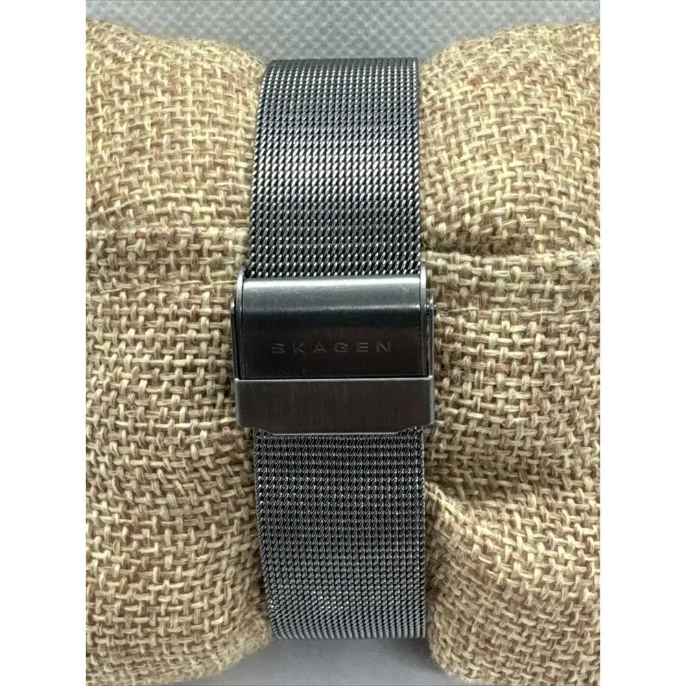 Skagen SKW2120 Women's Gray Stainless Steel Mesh Analog Dial Quartz Watch JNA916